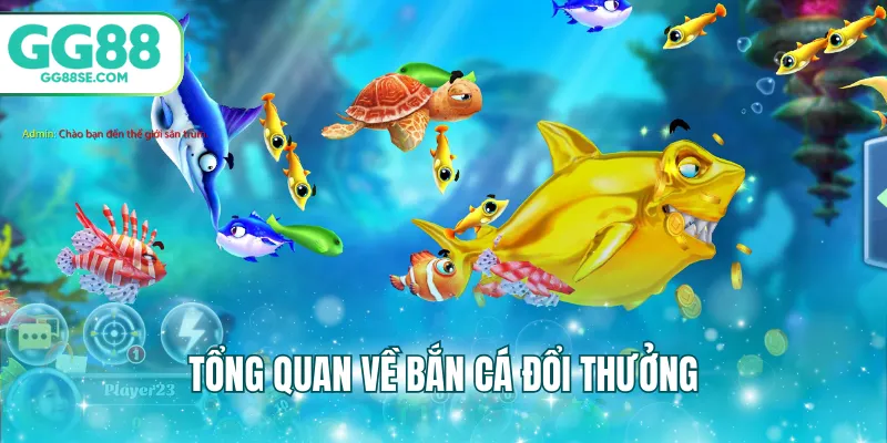 Tổng quan về bắn cá đổi thưởng